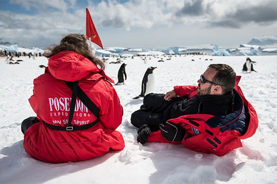 Континент Антарктида пингвины